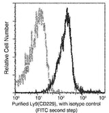 Anti-Mouse LY9 Antibody [B456]