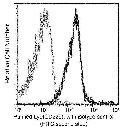 Anti-Mouse LY9 Antibody [B456] - ABMIUM
