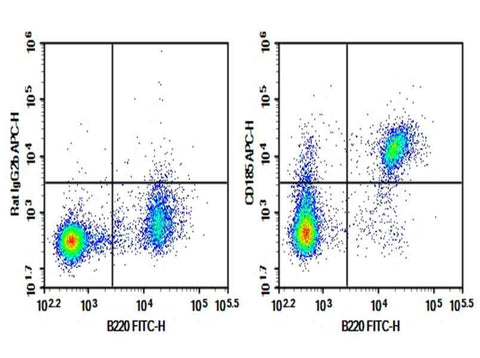 Anti-Mouse CD185 Antibody [L138D7] - ABMIUM