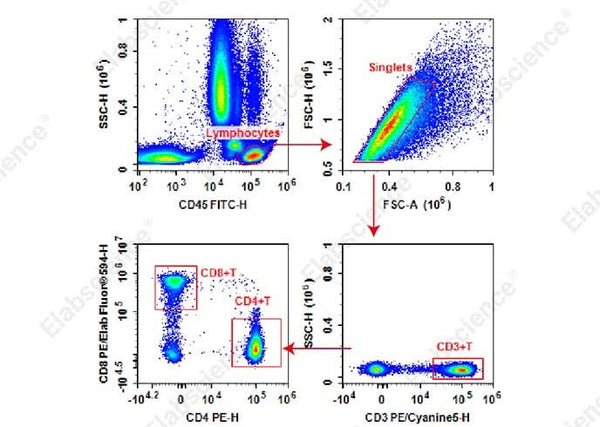 Human peripheral blood lymphocytes are stained with Anti-Human CD45-FITC/CD3-PE/Cyanine 5/CD4-PE/CD8-PE/Elab Fluor<sup>®</sup> 594 Cocktail