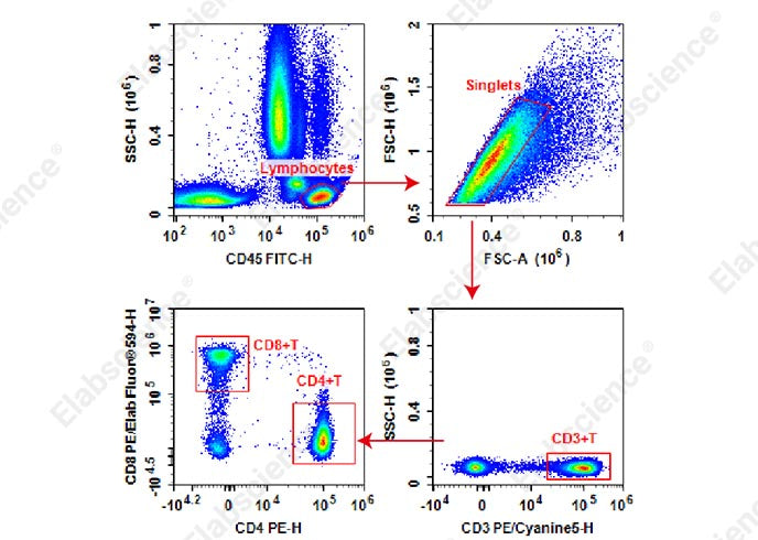 Human peripheral blood lymphocytes are stained with Anti-Human CD45-FITC/CD3-PE/Cyanine 5/CD4-PE/CD8-PE/Elab Fluor<sup>®</sup> 594 Cocktail
