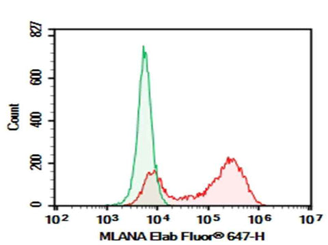 Anti-Human MLANA Antibody [A103] - ABMIUM