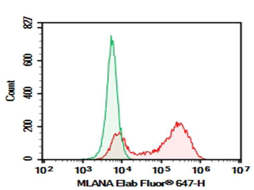 Anti-Human MLANA Antibody [A103] - ABMIUM