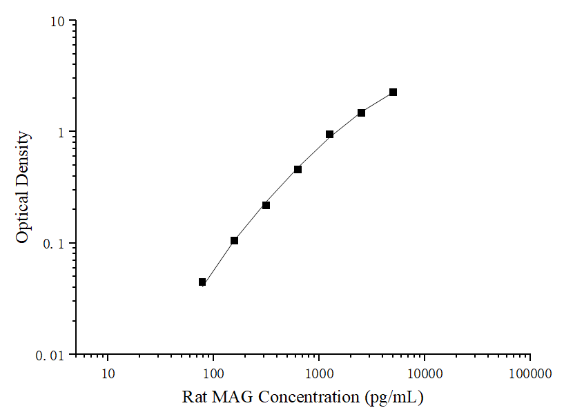 Uncoated Rat MAG(Myelin Associated Glycoprotein) ELISA Kit - ABMIUM