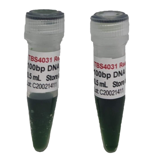 Ready-to-use 100bp DNA Ladder