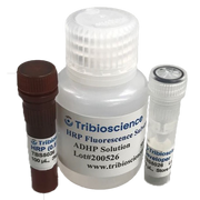 HRP Fluorescence Substrate System