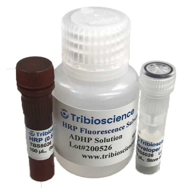 HRP Fluorescence Substrate System