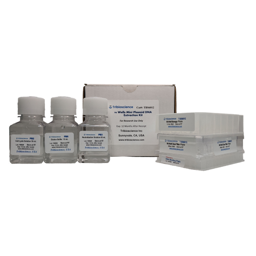 96-Well Plate Plasmid DNA Prep (Mini)