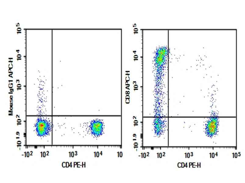 Anti-Human CD8a Antibody [RPA-T8] - ABMIUM