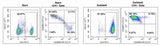 As shown in the figure above, the purity of Memory CD4 T cells before and after sorting was analyzed by flow cytometry, and the proportions of Memory CD4 T cells before and after sorting were 23.05% and 96.54%, respectively.