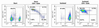 As shown in the figure above, the purity of Memory CD4 T cells before and after sorting was analyzed by flow cytometry, and the proportions of Memory CD4 T cells before and after sorting were 23.05% and 96.54%, respectively.