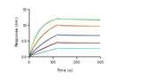 Loaded Anti-Human TROP2 antibody, human IgG1 on ProA Biosensor, can bind Recombinant Human TROP2 Protein, His Tag (Cat: PKSH031613) with an affinity constant of 1.64 nM as determined in BLI assay (Sartorius Octet RED384) .