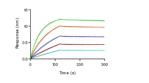Loaded Anti-Human TROP2 antibody, human IgG1 on ProA Biosensor, can bind Recombinant Human TROP2 Protein, His Tag (Cat: PKSH031613) with an affinity constant of 1.64 nM as determined in BLI assay (Sartorius Octet RED384) .