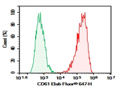 Anti-Human CD61 Antibody [HIP11] - ABMIUM