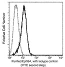 Anti-Human EphB4 Antibody [A853] - ABMIUM