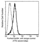 Anti-Human EphB4 Antibody [A853] - ABMIUM