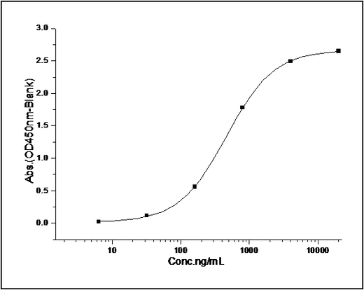 Measured by its binding ability in a functional ELISA. Immobilized rat CD155 at 20 μg/ml (100 μl/well) can bind mouse CD226 with a linear range of 6.4-160 ng/ml.