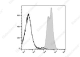 Anti-Mouse MHC I Antibody [SF1.1.10] - ABMIUM