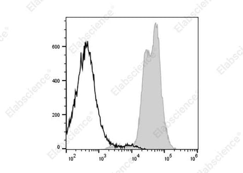 Anti-Mouse MHC I Antibody [SF1.1.10] - ABMIUM