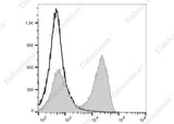 Anti-Rat IgG Antibody [Poly1441] - ABMIUM