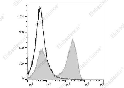 Anti-Rat IgG Antibody [Poly1441] - ABMIUM