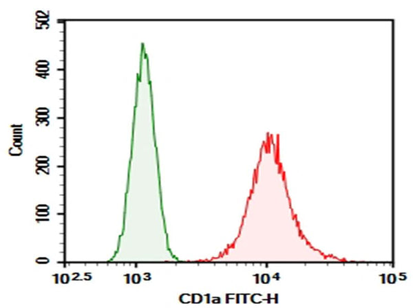 Molt-4 were stained with 0.2 μg Purified Anti-Human CD1a Antibody[Ab571] (Right) and 0.2 μg Mouse IgG1, κ Isotype Control (Left), followed by FITC-conjugated Goat Anti-Mouse IgG Secondary Antibody.
