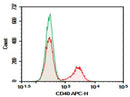 Anti-Mouse CD40 Antibody [3/23] - ABMIUM