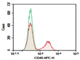 Anti-Mouse CD40 Antibody [3/23] - ABMIUM
