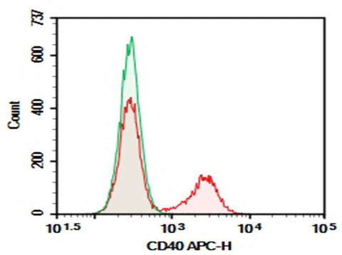 Anti-Mouse CD40 Antibody [3/23] - ABMIUM