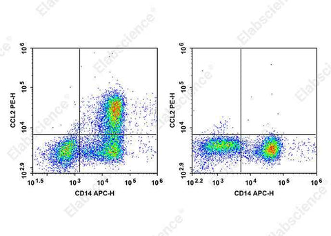 Anti-Human CCL2 Antibody [2H5] - ABMIUM