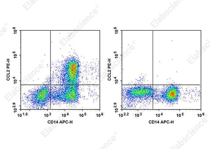 Anti-Human CCL2 Antibody [2H5] - ABMIUM