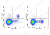 C57BL/6 murine splenocytes are stained with APC Anti-Mouse CD161/NK1.1 Antibody and FITC Anti-Mouse CD335 Antibody[29A1.4] (Left). Splenocytes are stained with APC Anti-Mouse CD161/NK1.1 Antibody and FITC Rat IgG2a, κ Isotype Control (Right). 