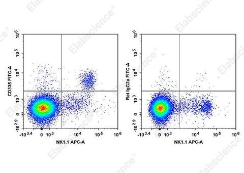 C57BL/6 murine splenocytes are stained with APC Anti-Mouse CD161/NK1.1 Antibody and FITC Anti-Mouse CD335 Antibody[29A1.4] (Left). Splenocytes are stained with APC Anti-Mouse CD161/NK1.1 Antibody and FITC Rat IgG2a, κ Isotype Control (Right).