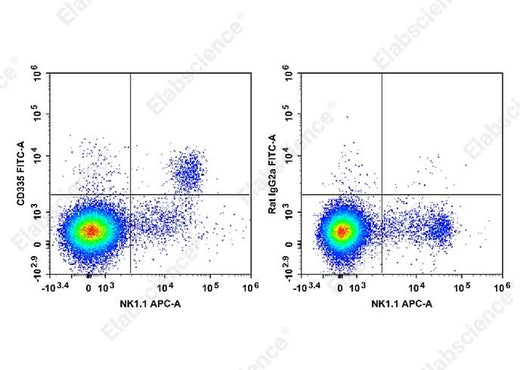C57BL/6 murine splenocytes are stained with APC Anti-Mouse CD161/NK1.1 Antibody and FITC Anti-Mouse CD335 Antibody[29A1.4] (Left). Splenocytes are stained with APC Anti-Mouse CD161/NK1.1 Antibody and FITC Rat IgG2a, κ Isotype Control (Right). 