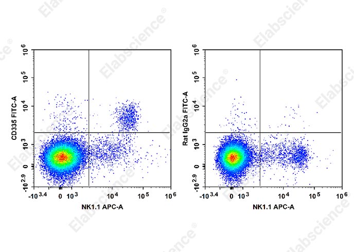 C57BL/6 murine splenocytes are stained with APC Anti-Mouse CD161/NK1.1 Antibody and FITC Anti-Mouse CD335 Antibody[29A1.4] (Left). Splenocytes are stained with APC Anti-Mouse CD161/NK1.1 Antibody and FITC Rat IgG2a, κ Isotype Control (Right). 