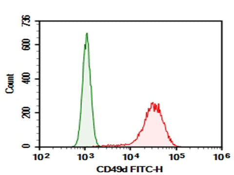 Jurkat were stained with 0.2 μg Purified Anti-Human CD49d Antibody[HP1/2] (Right) and 0.2 μg Mouse IgG2a, κ Isotype Control (Left), followed by FITC-conjugated Goat Anti-Mouse IgG Secondary Antibody.