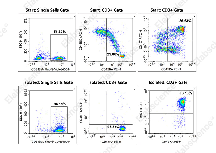 In the above example, the purities of human naïve pan T cells (CD3+CD45RA+CD45RO-CD197+) in normal human peripheral blood mononuclear cell samples was 6.0% before sorting and 95.2% after sorting.