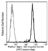 Anti-Human Spp1 Antibody [B248]