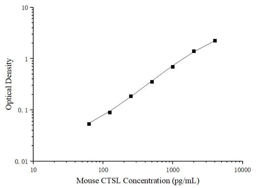 Uncoated Mouse CTSL (Cathepsin L) ELISA Kit - ABMIUM
