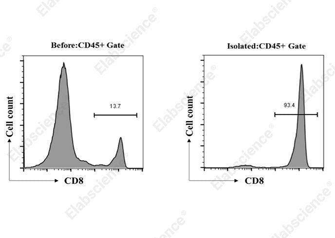 EasySort™ Mouse CD8+T Cell Isolation Kit - ABMIUM