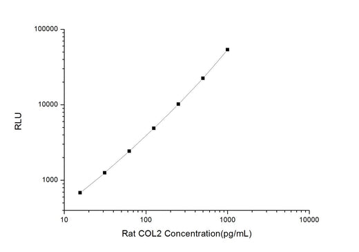 Rat COL2 (Collagen Type Ⅱ) CLIA Kit - ABMIUM