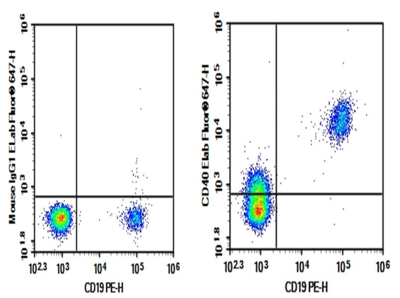 Human peripheral blood lymphocytes were stained with 0.2 μg AF/LE Purified Anti-Human CD40 Antibody[G28.5] (Right) and 0.2 μg Mouse IgG1, κ Isotype Control (Left), followed by Elab Fluor<sup>®</sup> 647-conjugated Goat Anti-Mouse IgG Secondary Antibody, then anti-Human CD19 PE-conjugated Monoclonal Antibody.