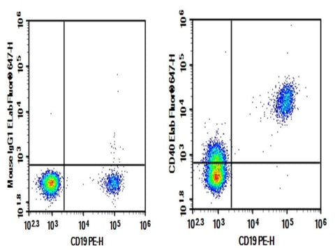 Human peripheral blood lymphocytes were stained with 0.2 μg AF/LE Purified Anti-Human CD40 Antibody[G28.5] (Right) and 0.2 μg Mouse IgG1, κ Isotype Control (Left), followed by Elab Fluor<sup>®</sup> 647-conjugated Goat Anti-Mouse IgG Secondary Antibody, then anti-Human CD19 PE-conjugated Monoclonal Antibody.