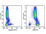 Anti-Human CD45 Antibody [QA17A19] - ABMIUM