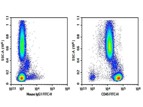 Anti-Human CD45 Antibody [QA17A19] - ABMIUM