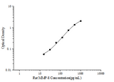 Rat MMP-8(Matrix Metalloproteinase 8) ELISA Kit - ABMIUM