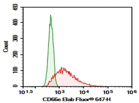 Anti-Human CD66e Antibody [A5B7] - ABMIUM
