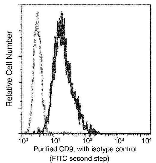 Anti-Human CD9 Antibody [A877] - ABMIUM