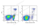 Annexin V-Elab Fluor® 488/DAPI Apoptosis Kit - ABMIUM