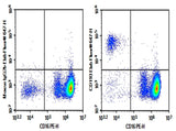 Human peripheral blood granulocytes were stained with 0.2 μg Purified Anti-Human CD193 Antibody[5E8] (Right) and 0.2 μg Mouse IgG2b, κ Isotype Control (Left), followed by Elab Fluor<sup>®</sup> 647-conjugated Goat Anti-Mouse IgG Secondary Antibody, then anti-Human CD16 PE-conjugated Monoclonal Antibody.